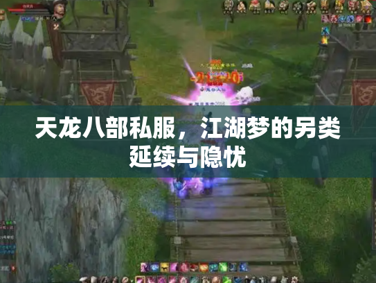天龙八部私服，江湖梦的另类延续与隐忧
