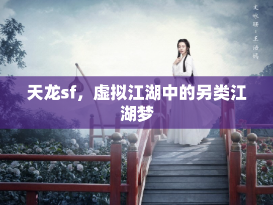 天龙sf，虚拟江湖中的另类江湖梦