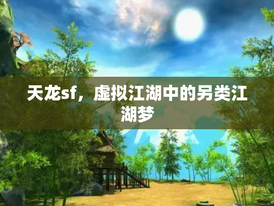 天龙sf，虚拟江湖中的另类江湖梦