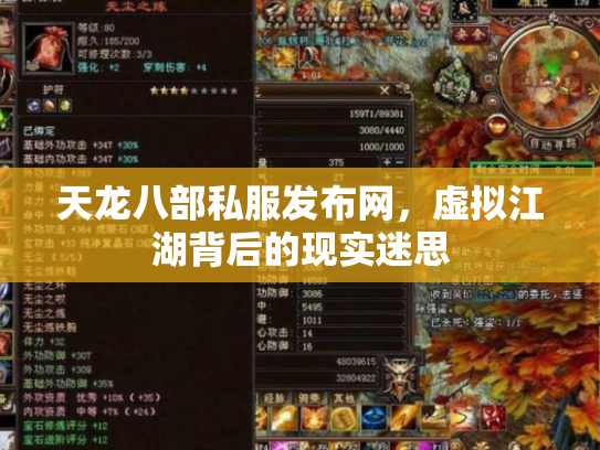 天龙八部私服发布网，虚拟江湖背后的现实迷思