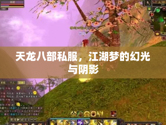 天龙八部私服，江湖梦的幻光与阴影