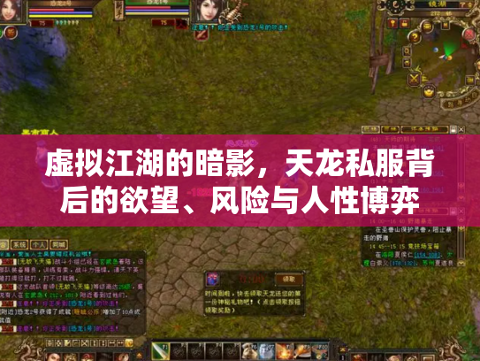 虚拟江湖的暗影，天龙私服背后的欲望、风险与人性博弈