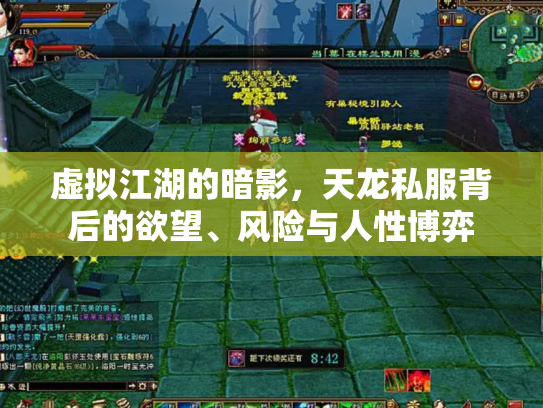 虚拟江湖的暗影，天龙私服背后的欲望、风险与人性博弈