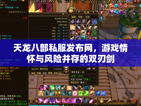 天龙八部私服发布网，游戏情怀与风险并存的双刃剑