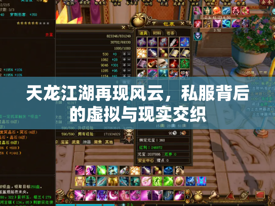 天龙江湖再现风云，私服背后的虚拟与现实交织