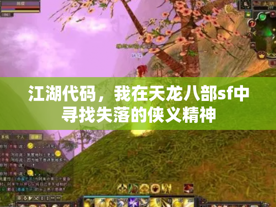 江湖代码，我在天龙八部sf中寻找失落的侠义精神