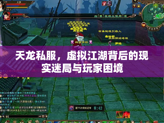天龙私服，虚拟江湖背后的现实迷局与玩家困境