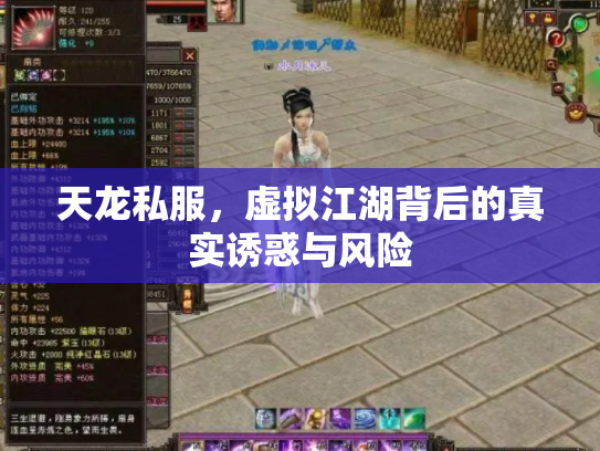 天龙私服，虚拟江湖背后的真实诱惑与风险