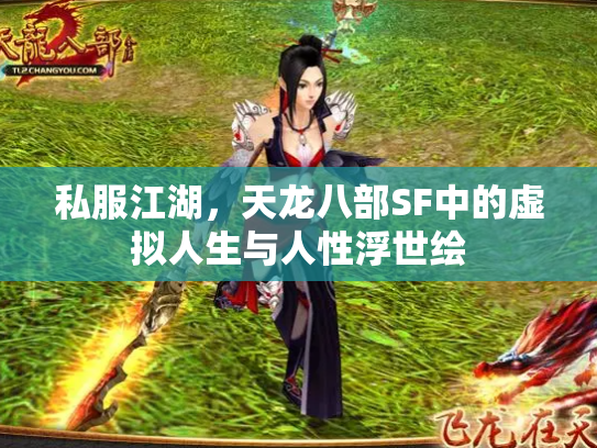 私服江湖，天龙八部SF中的虚拟人生与人性浮世绘