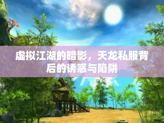 虚拟江湖的暗影，天龙私服背后的诱惑与陷阱