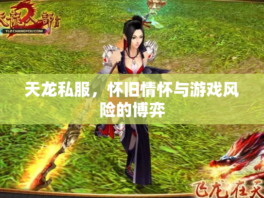 天龙私服，怀旧情怀与游戏风险的博弈