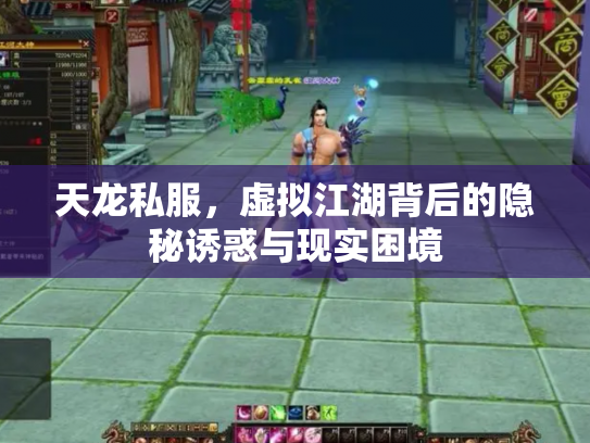 天龙私服，虚拟江湖背后的隐秘诱惑与现实困境
