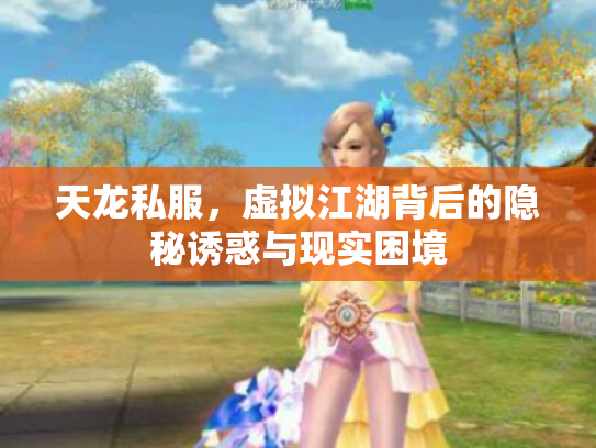 天龙私服，虚拟江湖背后的隐秘诱惑与现实困境