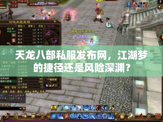 天龙八部私服发布网，江湖梦的捷径还是风险深渊？