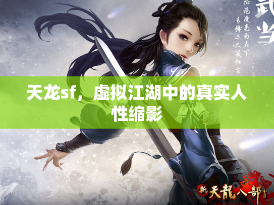 天龙sf，虚拟江湖中的真实人性缩影