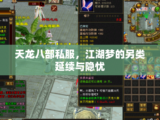 天龙八部私服，江湖梦的另类延续与隐忧