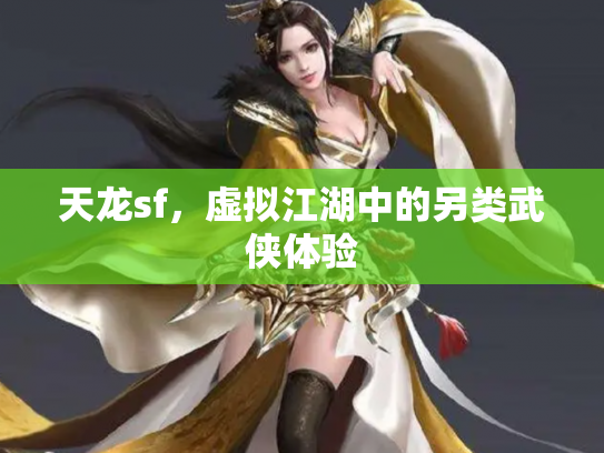 天龙sf，虚拟江湖中的另类武侠体验