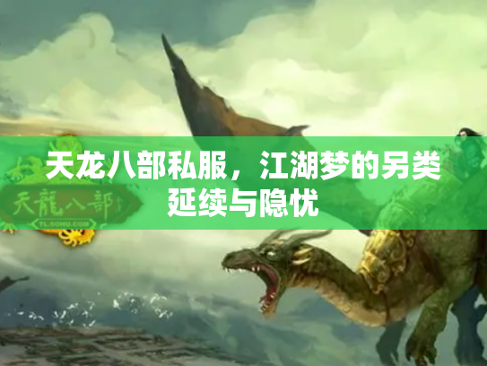 天龙八部私服，江湖梦的另类延续与隐忧