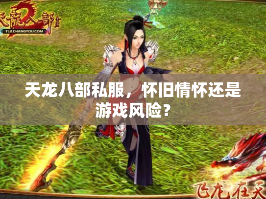 天龙八部私服，怀旧情怀还是游戏风险？