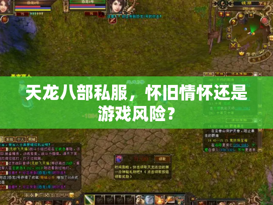 天龙八部私服，怀旧情怀还是游戏风险？