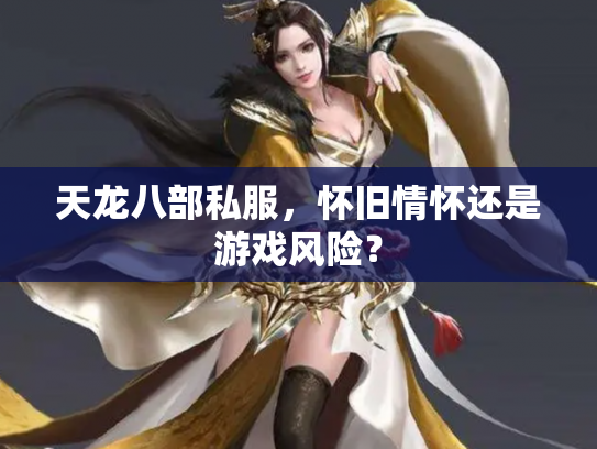 天龙八部私服，怀旧情怀还是游戏风险？