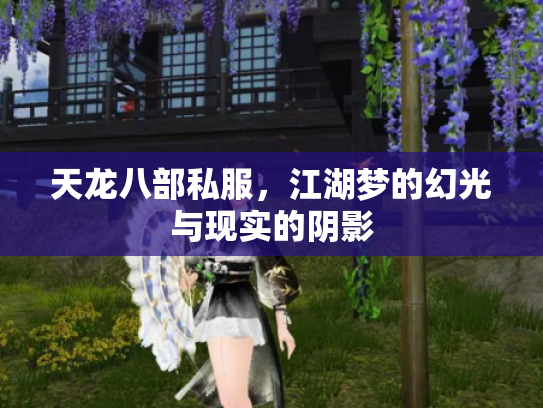 天龙八部私服，江湖梦的幻光与现实的阴影