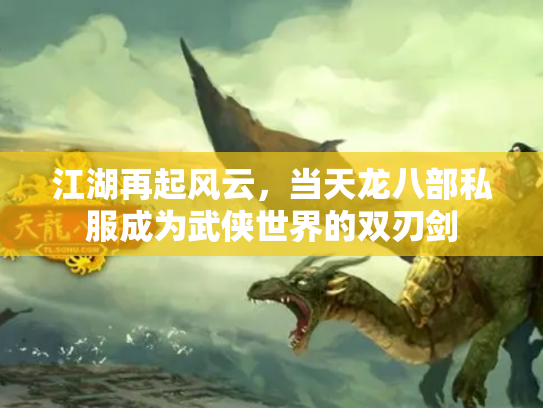 江湖再起风云，当天龙八部私服成为武侠世界的双刃剑