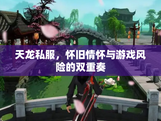 天龙私服，怀旧情怀与游戏风险的双重奏