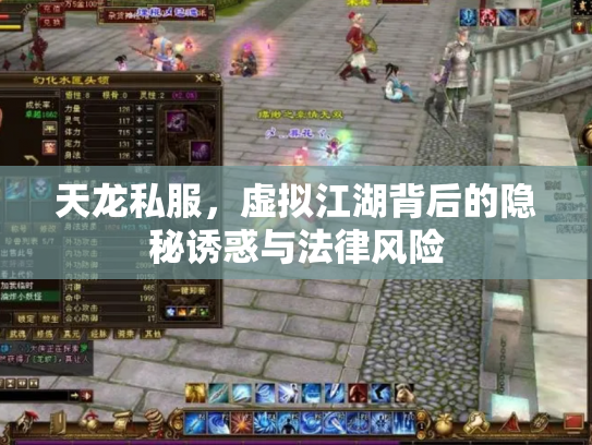 天龙私服，虚拟江湖背后的隐秘诱惑与法律风险