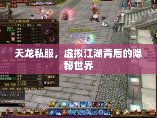 天龙私服，虚拟江湖背后的隐秘世界