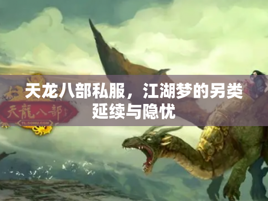 天龙八部私服，江湖梦的另类延续与隐忧
