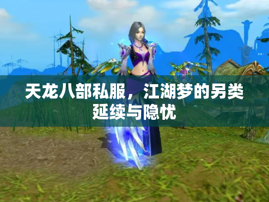 天龙八部私服，江湖梦的另类延续与隐忧