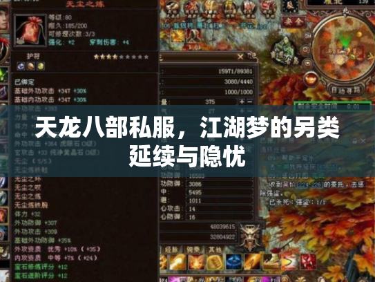 天龙八部私服，江湖梦的另类延续与隐忧
