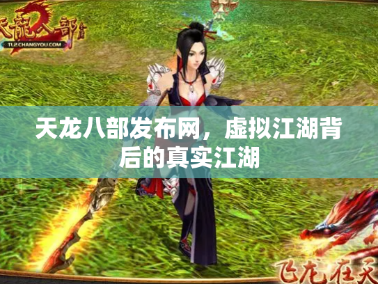 天龙八部发布网，虚拟江湖背后的真实江湖