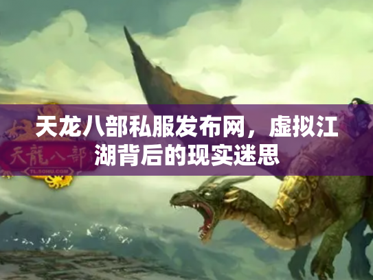天龙八部私服发布网，虚拟江湖背后的现实迷思