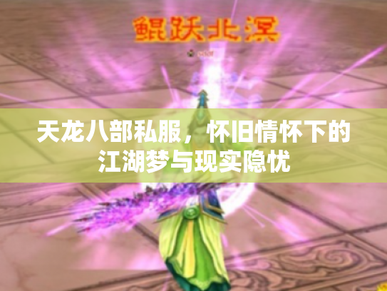 天龙八部私服，怀旧情怀下的江湖梦与现实隐忧