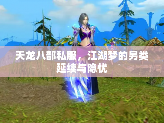 天龙八部私服，江湖梦的另类延续与隐忧