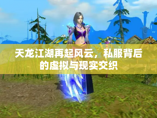 天龙江湖再起风云，私服背后的虚拟与现实交织