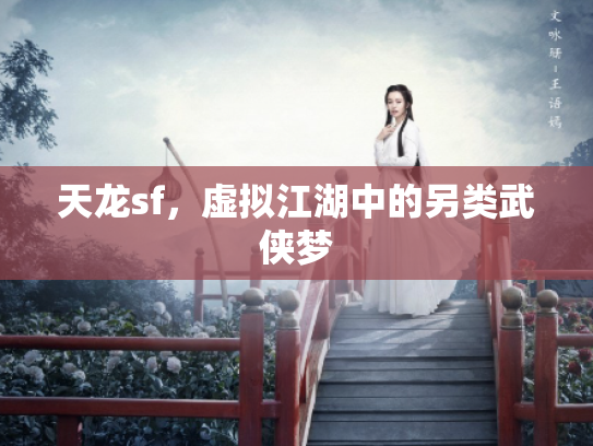 天龙sf，虚拟江湖中的另类武侠梦
