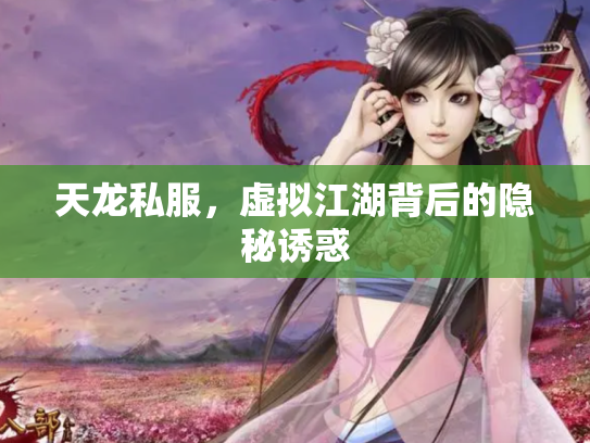 天龙私服，虚拟江湖背后的隐秘诱惑