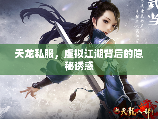 天龙私服，虚拟江湖背后的隐秘诱惑