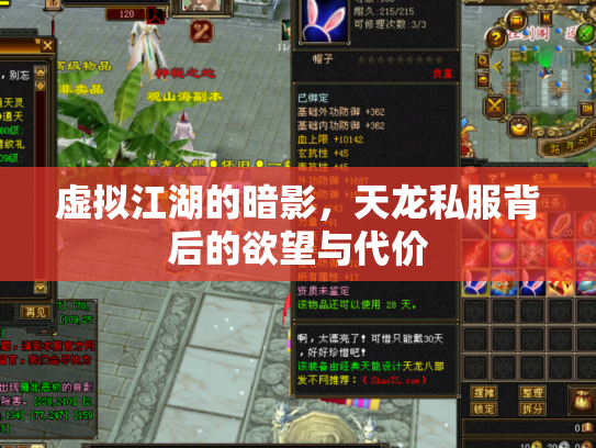 虚拟江湖的暗影，天龙私服背后的欲望与代价