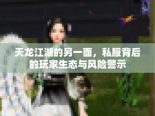 天龙江湖的另一面，私服背后的玩家生态与风险警示