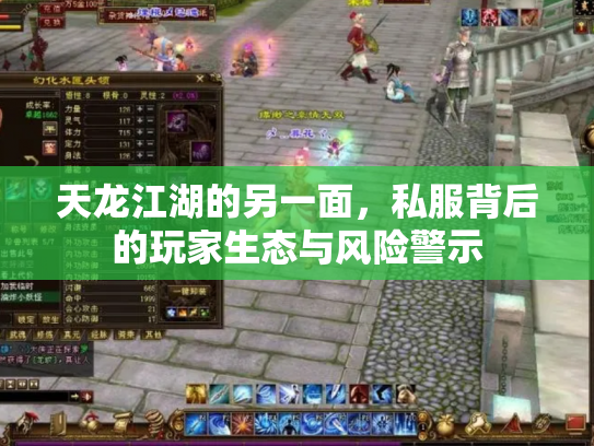天龙江湖的另一面，私服背后的玩家生态与风险警示