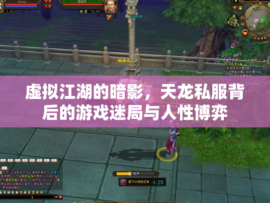 虚拟江湖的暗影，天龙私服背后的游戏迷局与人性博弈