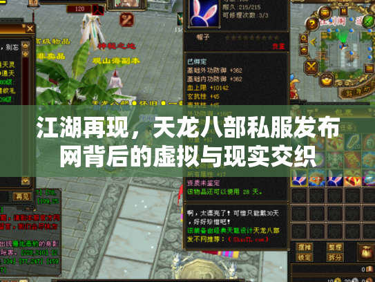 江湖再现，天龙八部私服发布网背后的虚拟与现实交织
