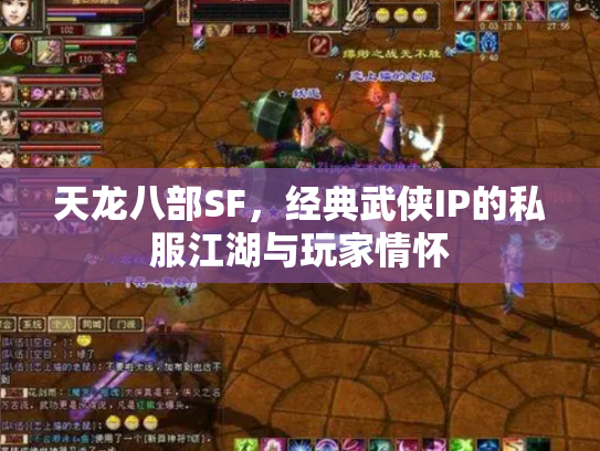 天龙八部SF，经典武侠IP的私服江湖与玩家情怀