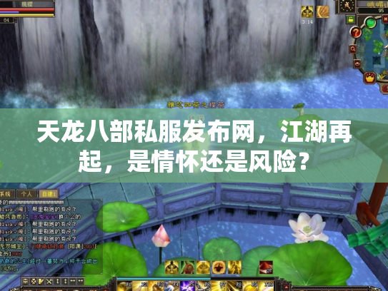 天龙八部私服发布网，江湖再起，是情怀还是风险？
