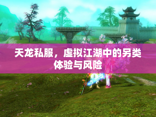 天龙私服，虚拟江湖中的另类体验与风险