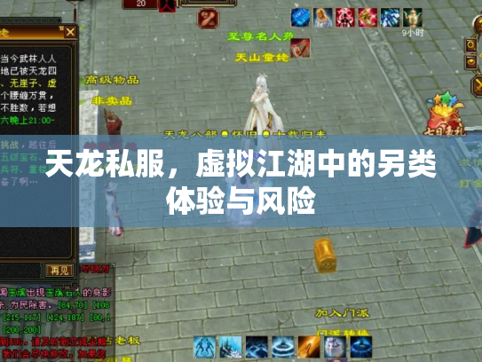 天龙私服，虚拟江湖中的另类体验与风险